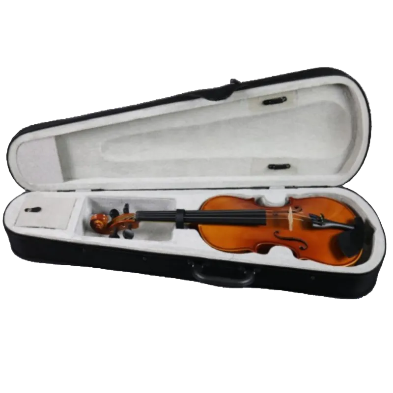 Pack violon débutant Alcalya Primo