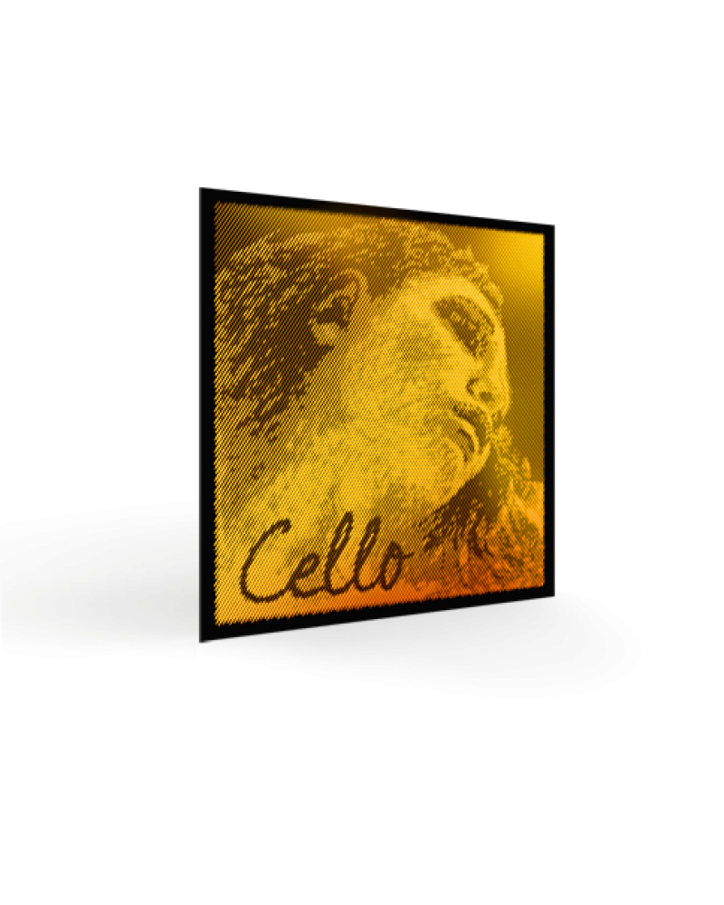 photo de RE violoncelle EVAH PIRAZZI GOLD medium
