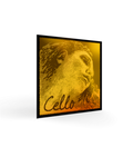 photo de DO violoncelle EVAH PIRAZZI GOLD medium