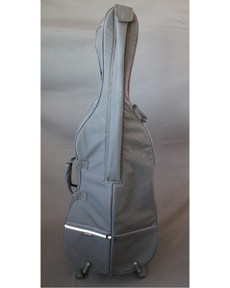 photo de Violoncelle électrique 4/4 RG-EVIOLINS