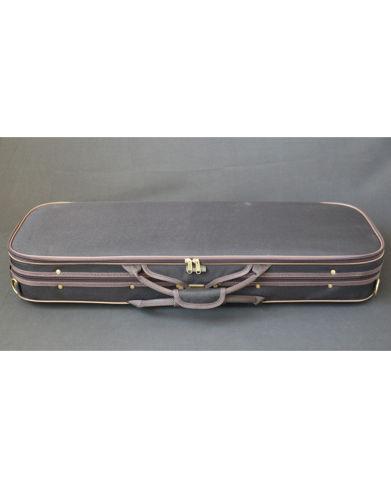 photo de Violon électrique 4/4 - Modèle 5 cordes - RG-EVIOLINS