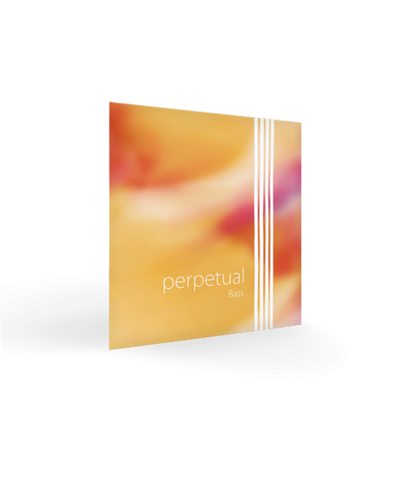 photo de JEU contrebasse PERPETUAL