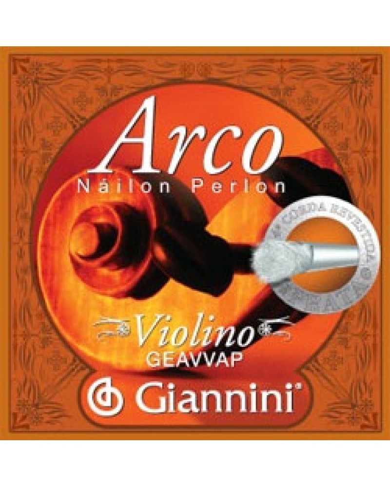 photo de Jeu Violon 4/4 GIANNINI