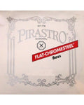 photo de DO DIESE contrebasse FLAT-CHROMESTEEL solo