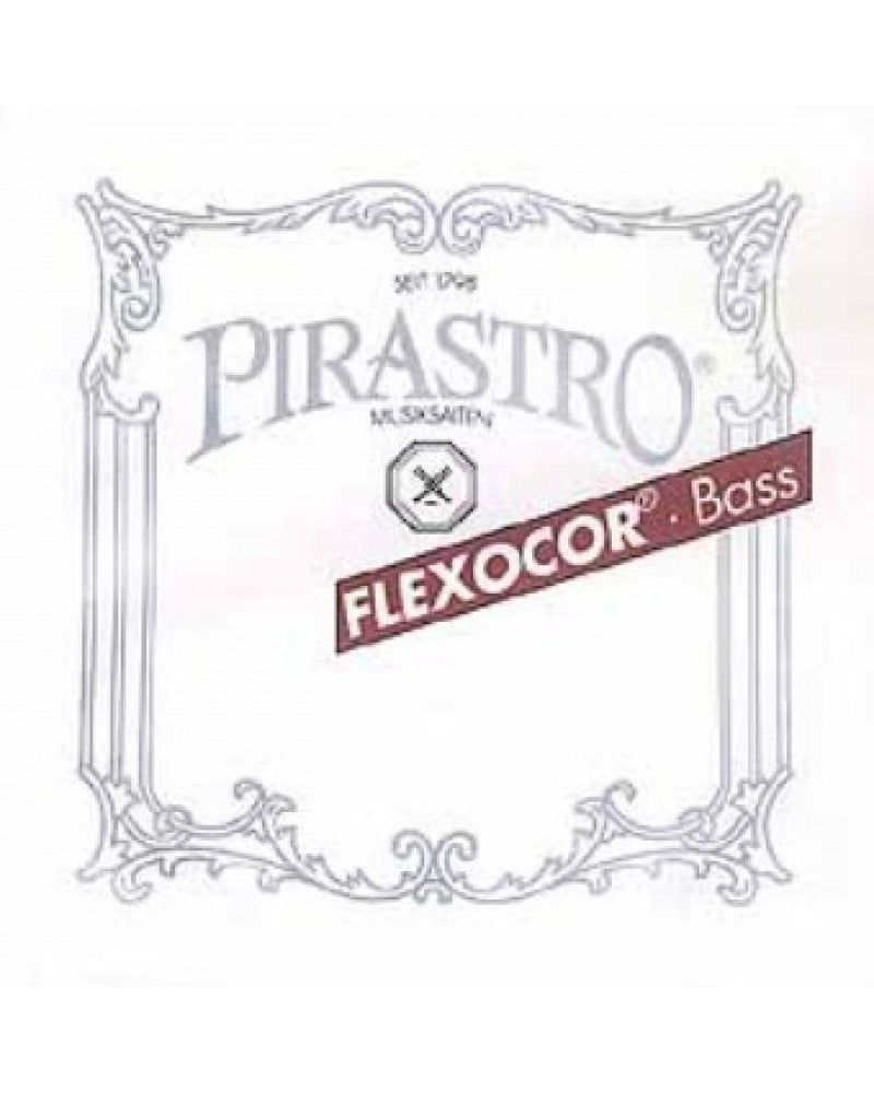 photo de SI contrebasse FLEXOCOR solo