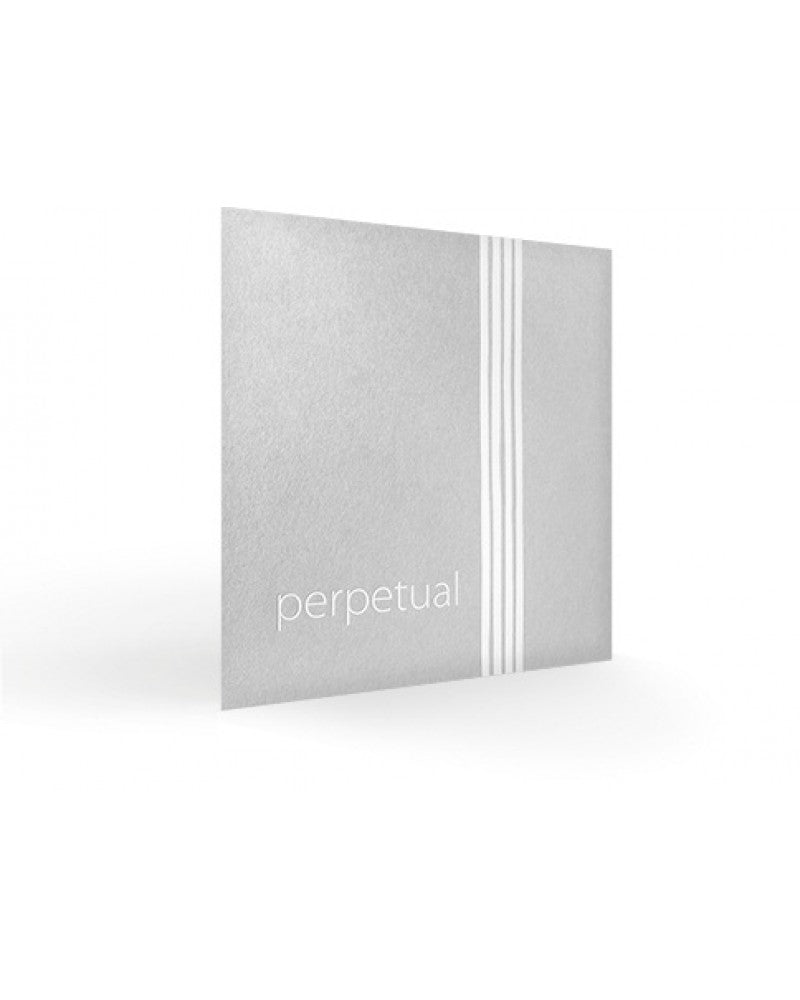 photo de RE violon 4/4 PERPETUAL - Synthétique / Argent - Medium