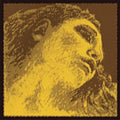 photo de Pirastro Evah Pirazzi Gold pour alto
