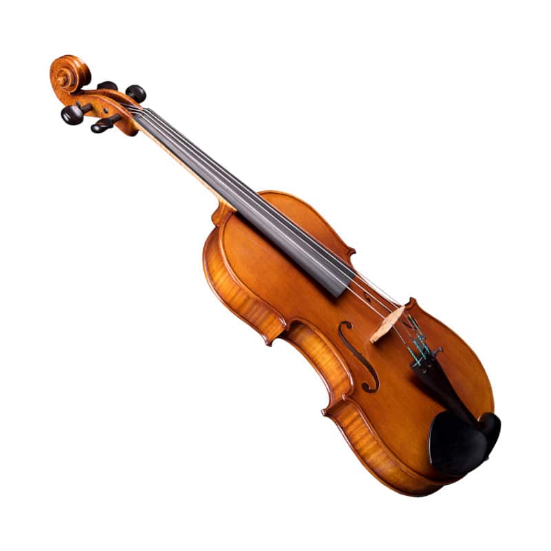 Violon Bohème Maître
